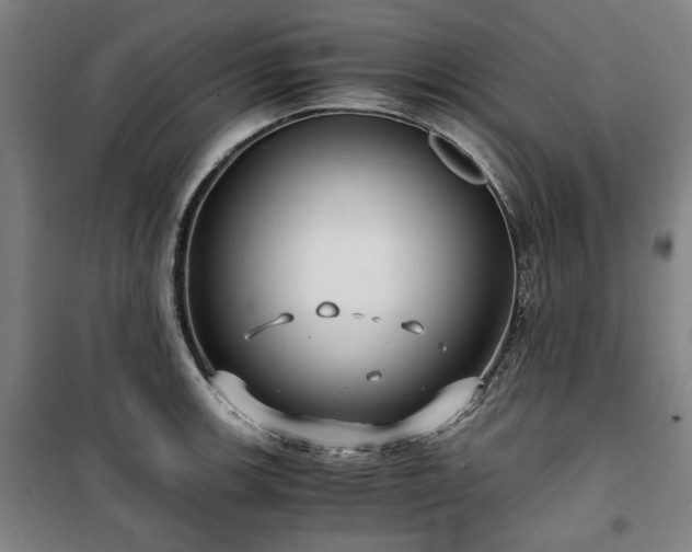 X0000100381139200806061212