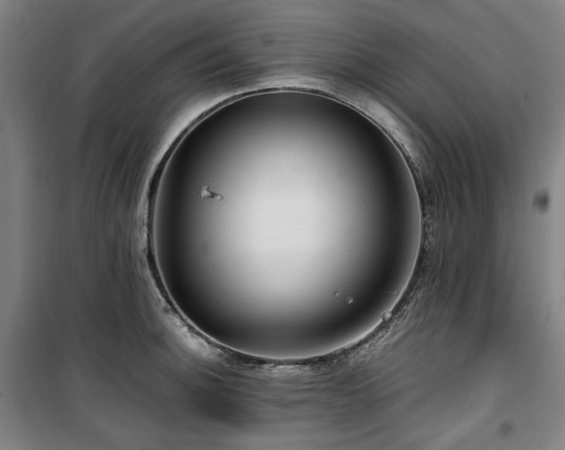 X0000100381140200806061212