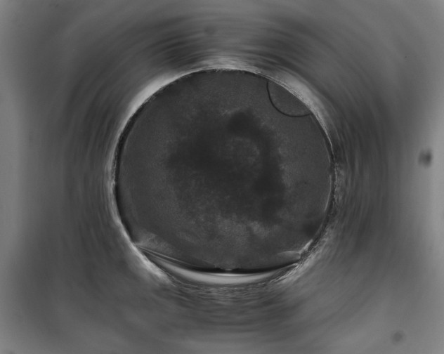 X0000100381141200806061212