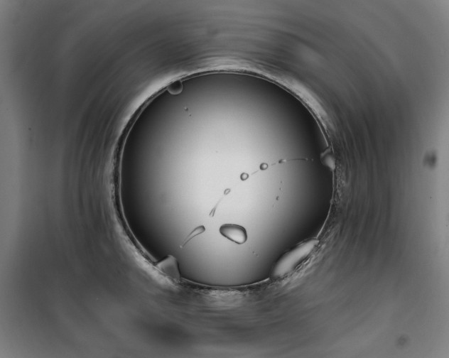 X0000100381142200806061212