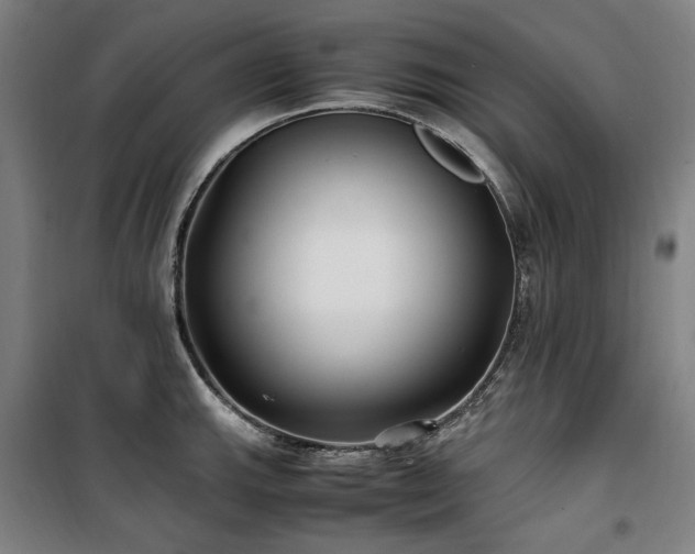 X0000100381143200806061212