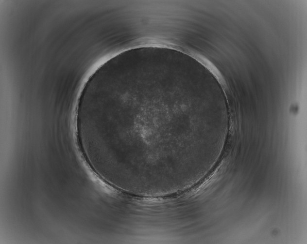 X0000100381144200806061212