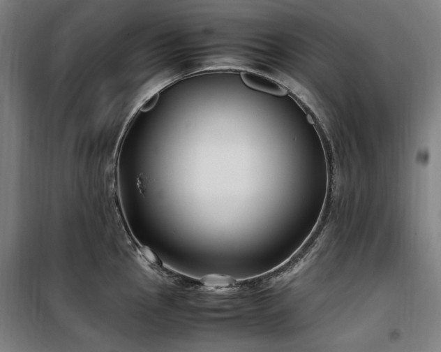 X0000100381145200806061212