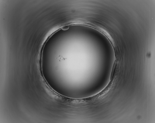 X0000100381146200806061213