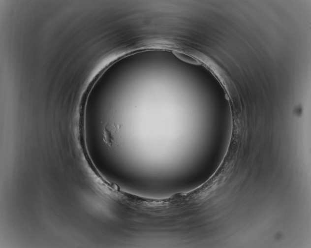 X0000100381147200806061213