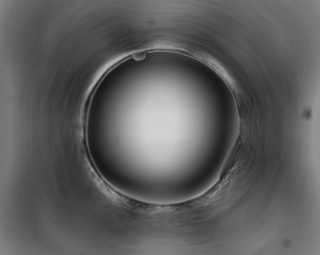 X0000100381148200806061213