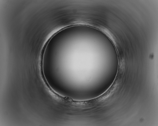 X0000100381149200806061213