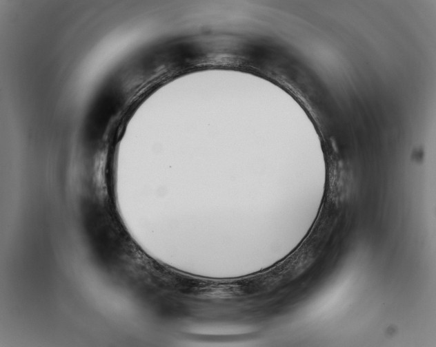 X0000100381150200806061213