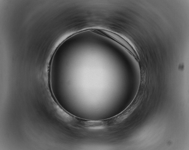 X0000100381151200806061213