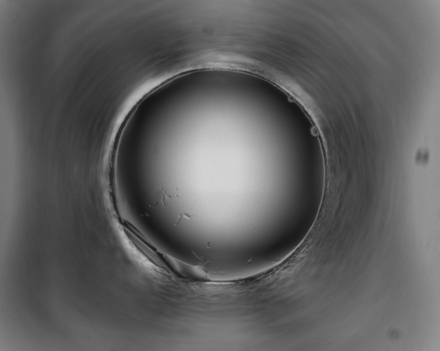 X0000100381152200806061213