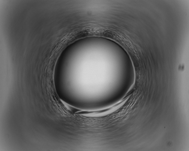 X0000100381153200806061212