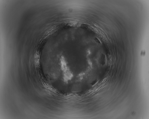 X0000100381154200806061212