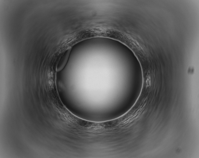 X0000100381156200806061212