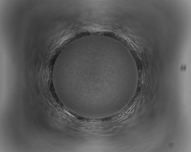X0000100381157200806061212