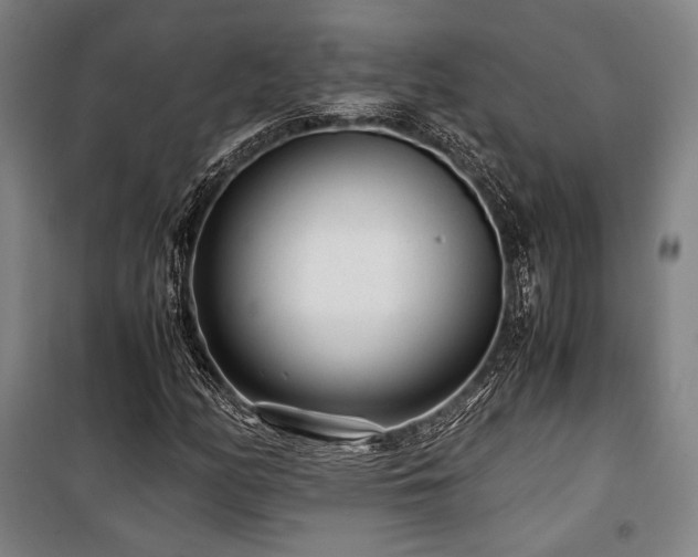 X0000100381158200806061212
