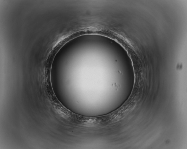 X0000100381160200806061212