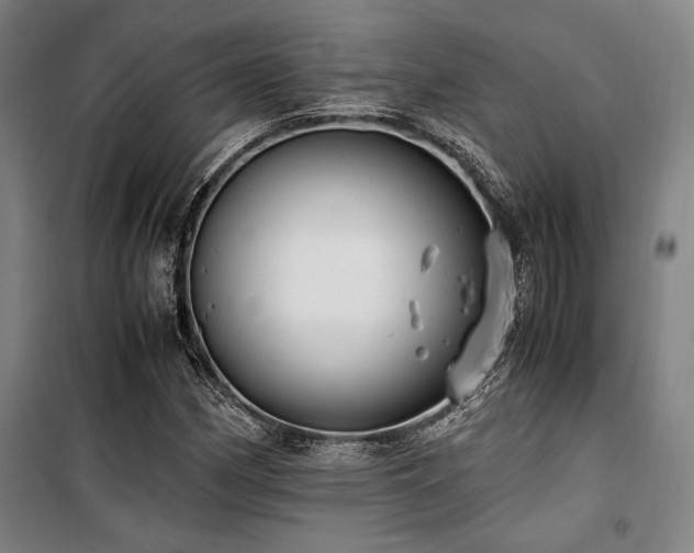 X0000100381162200806061212