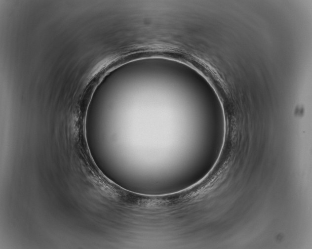 X0000100381163200806061212