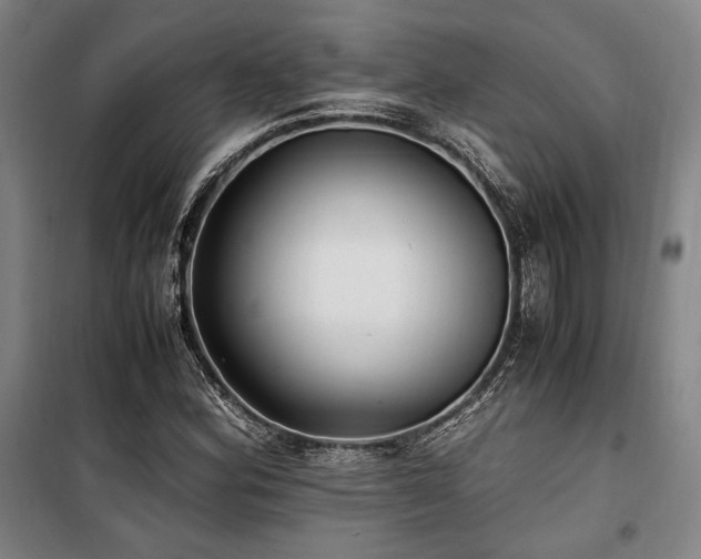 X0000100381164200806061212