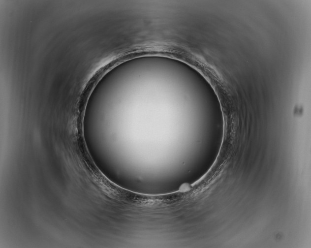 X0000100381166200806061212