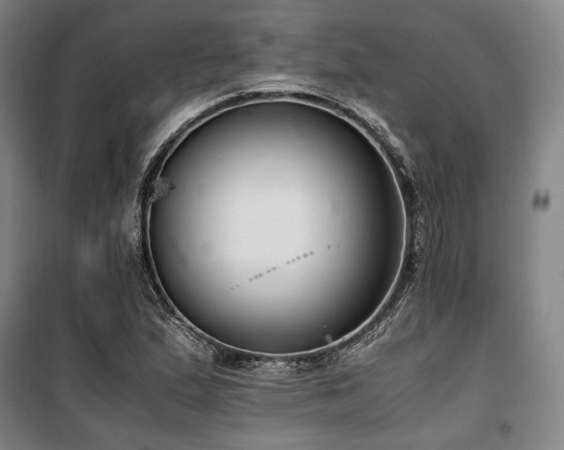 X0000100381167200806061212