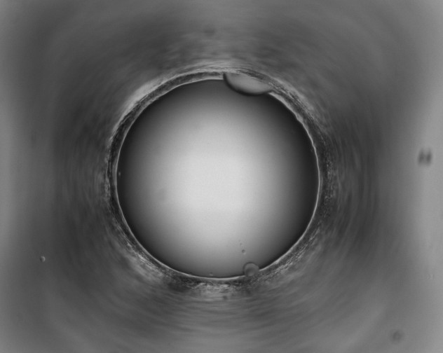 X0000100381168200806061212