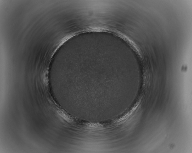 X0000100381170200806061212