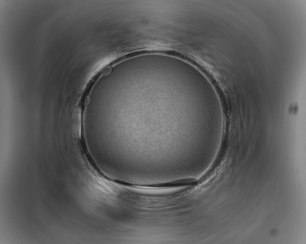 X0000100381171200806061212