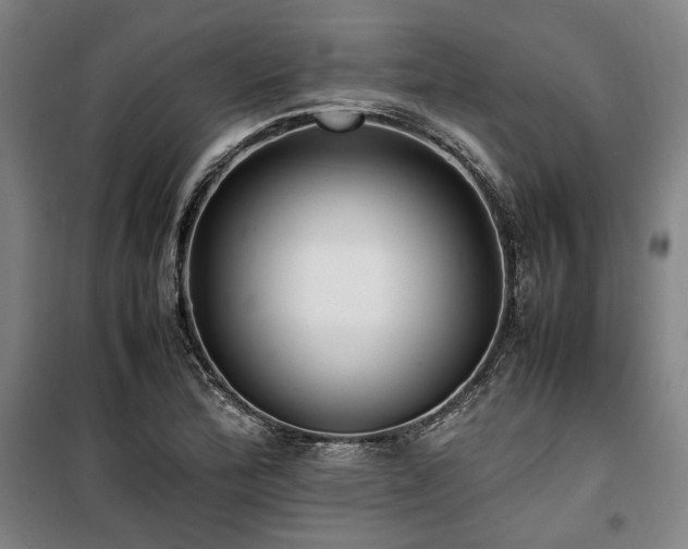 X0000100381172200806061212