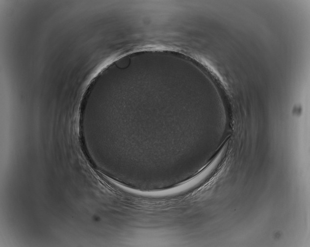 X0000100381173200806061212