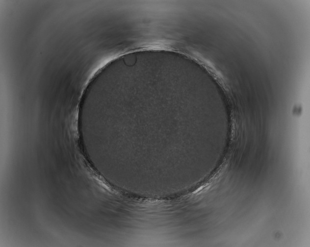 X0000100381174200806061212