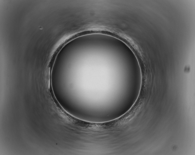 X0000100381175200806061212