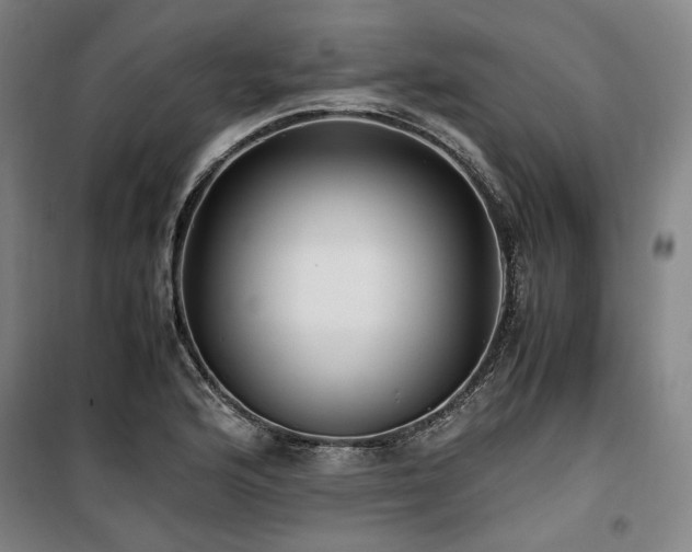 X0000100381176200806061212