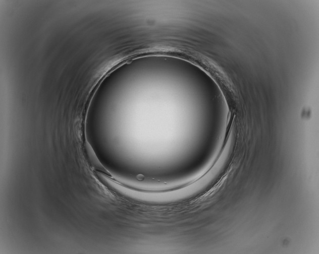 X0000100381177200806061211