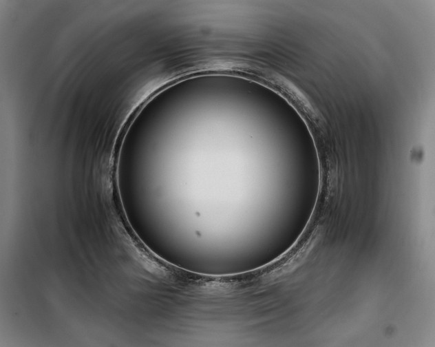 X0000100381178200806061211