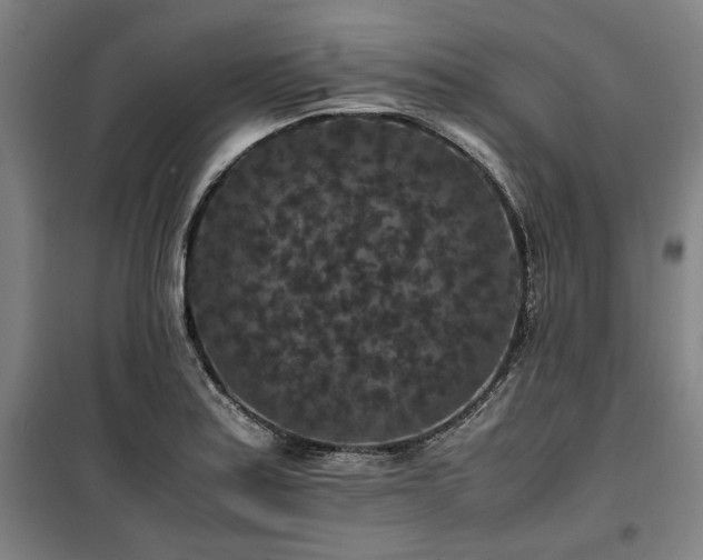 X0000100381179200806061211