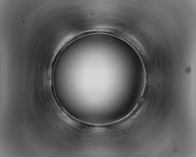 X0000100381180200806061211