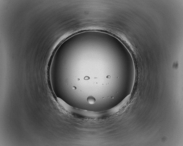 X0000100381181200806061211