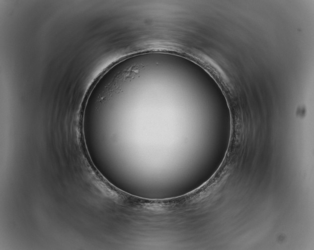 X0000100381182200806061211
