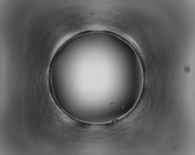 X0000100381183200806061211