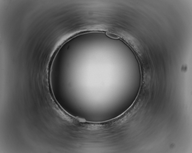 X0000100381184200806061211