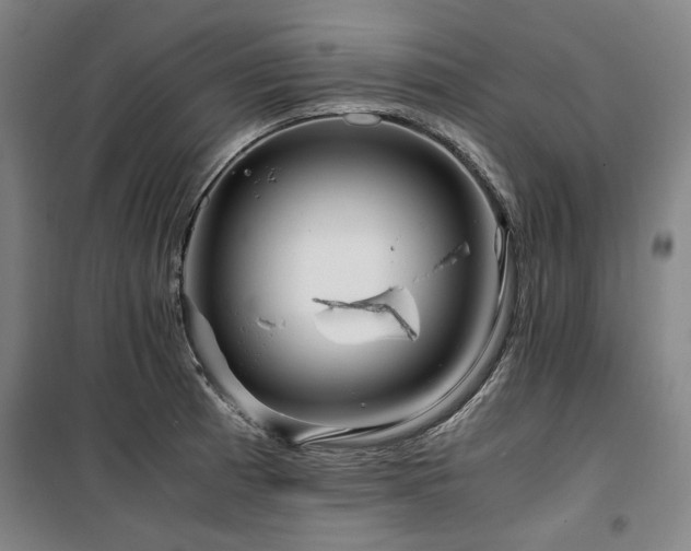 X0000100381185200806061211