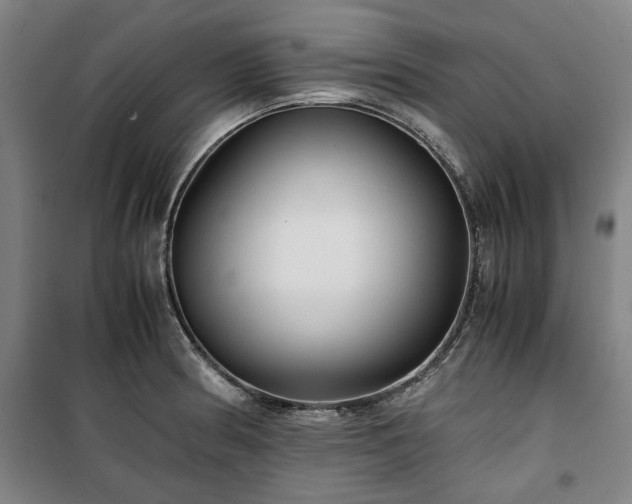X0000100381186200806061211