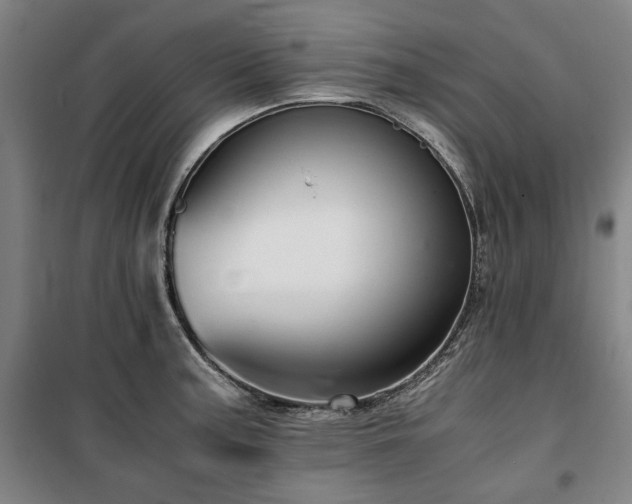 X0000100381187200806061211