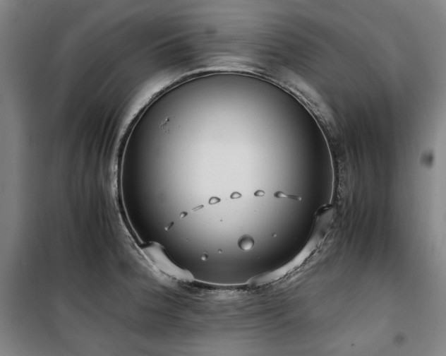 X0000100381188200806061211