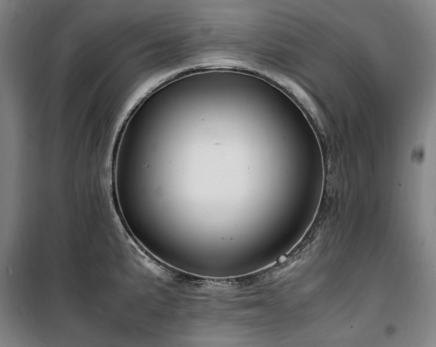 X0000100381191200806061211