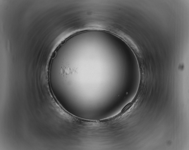 X0000100381192200806061211