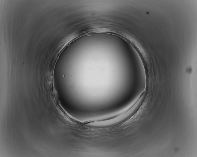 X0000100381193200806061211