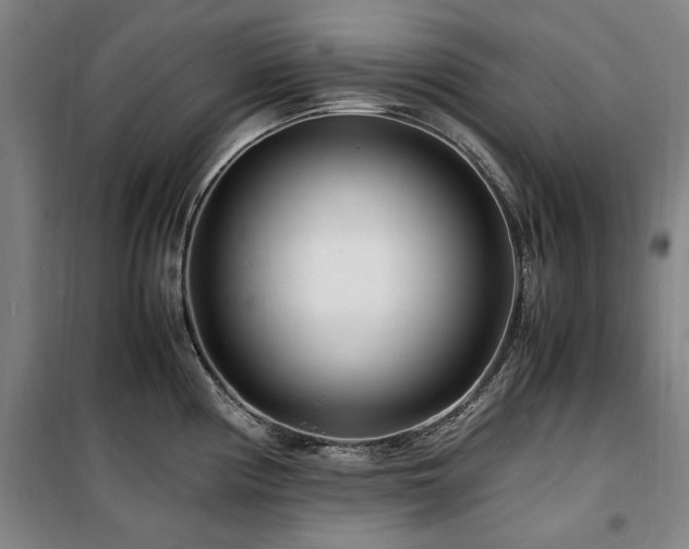 X0000100381194200806061211