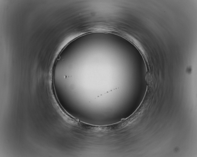 X0000100381195200806061211